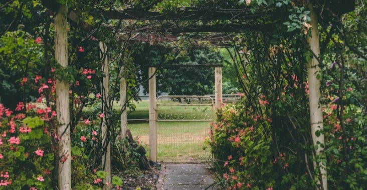 white and brown wooden garden arbor